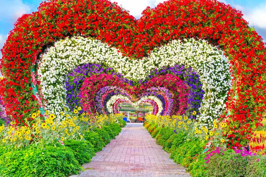 Heart Tunnel